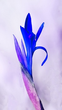 F 058C